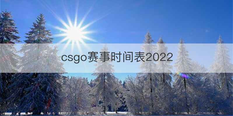 csgo赛事时间表2022
