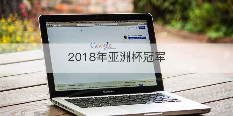 2018年亚洲杯冠军