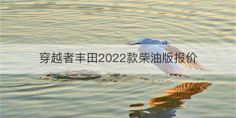 穿越者丰田2022款柴油版报价