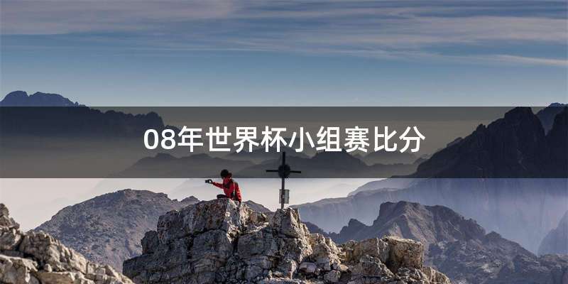 08年世界杯小组赛比分