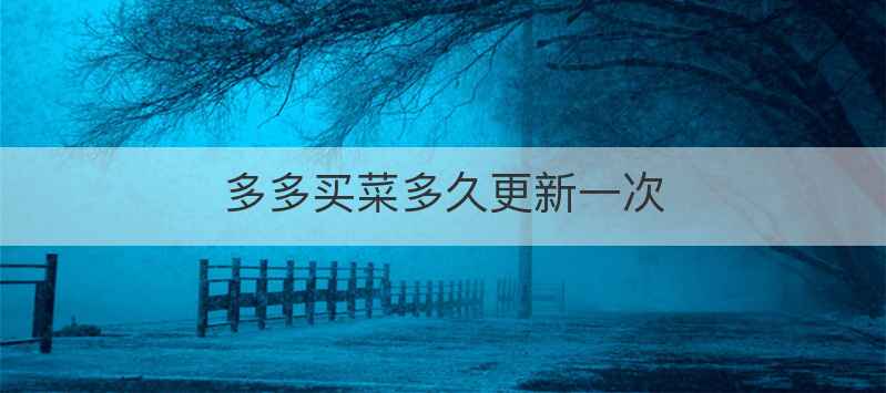 多多买菜多久更新一次