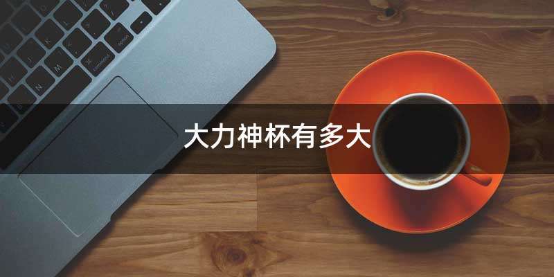 大力神杯有多大