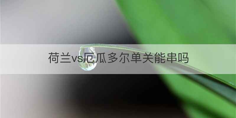 荷兰vs厄瓜多尔单关能串吗