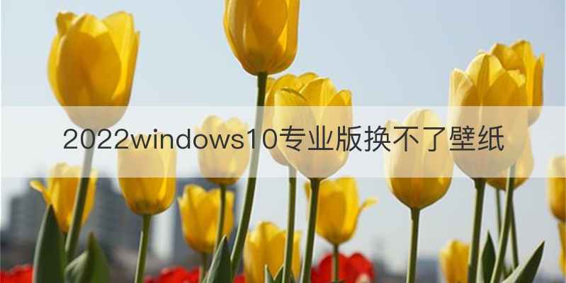 2022windows10专业版换不了壁纸