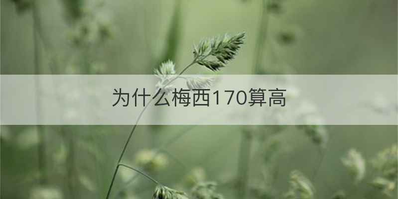 为什么梅西170算高