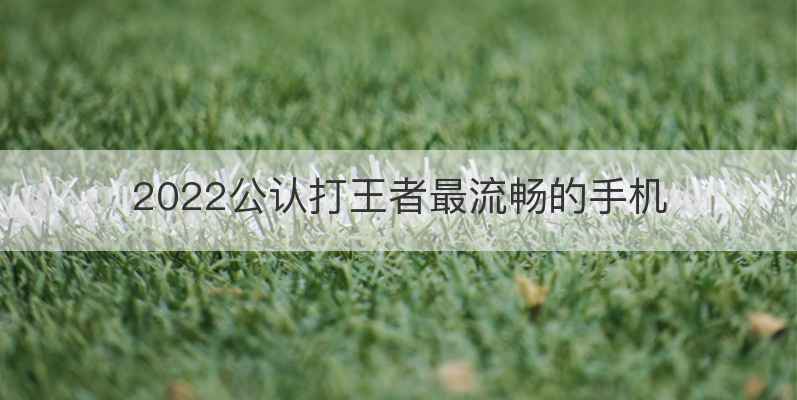 2022公认打王者最流畅的手机
