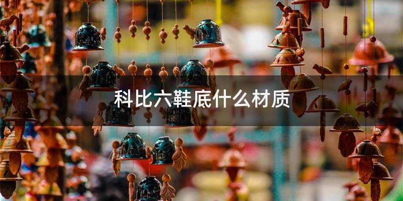 科比六鞋底什么材质