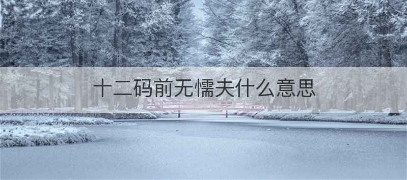 十二码前无懦夫什么意思