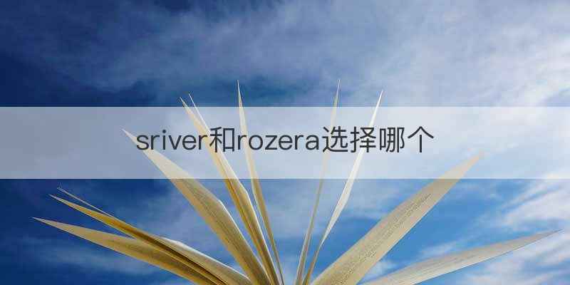sriver和rozera选择哪个