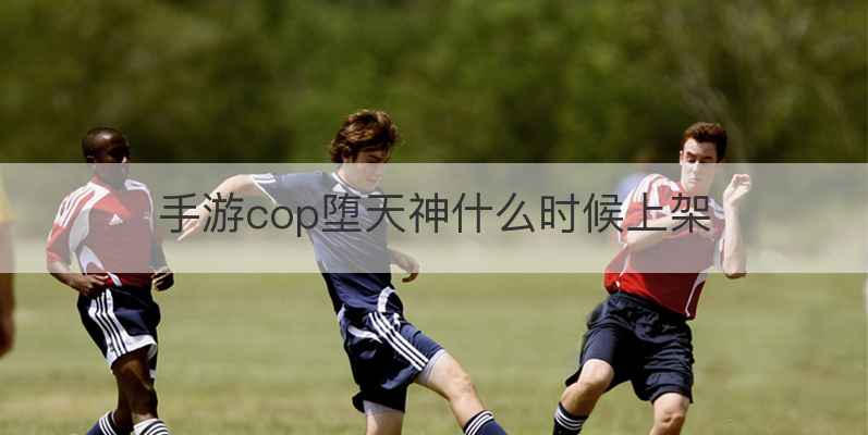 手游cop堕天神什么时候上架