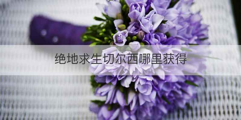 绝地求生切尔西哪里获得