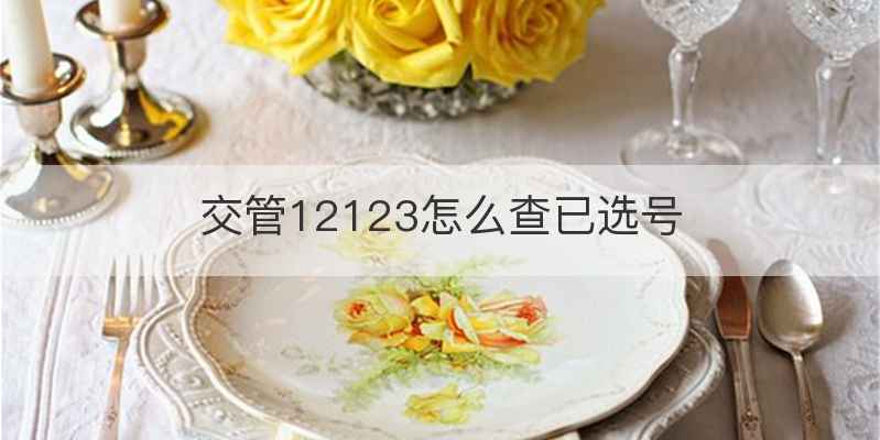 交管12123怎么查已选号