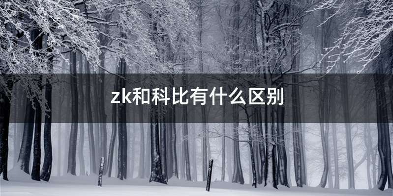 zk和科比有什么区别