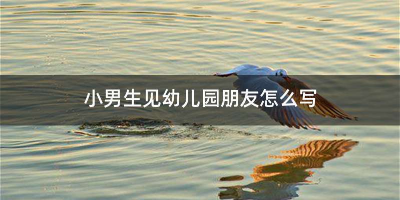 小男生见幼儿园朋友怎么写