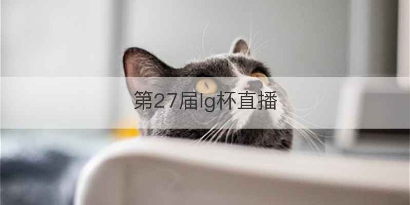 第27届lg杯直播