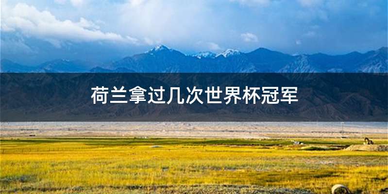 荷兰拿过几次世界杯冠军