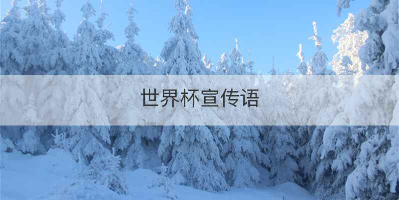 世界杯宣传语