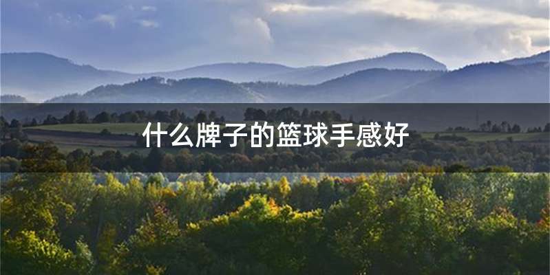 什么牌子的篮球手感好