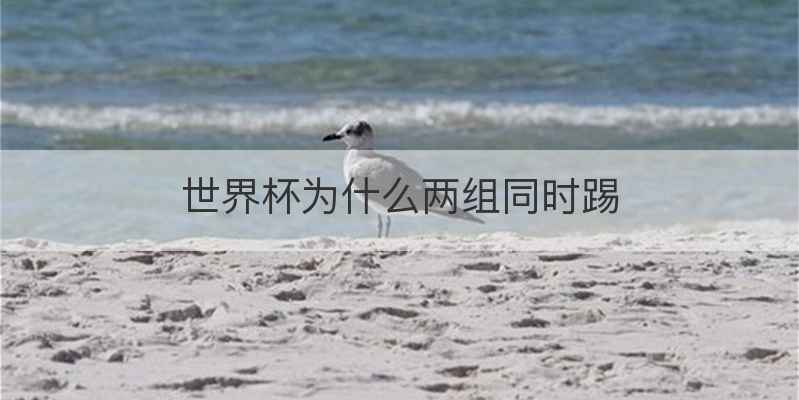 世界杯为什么两组同时踢