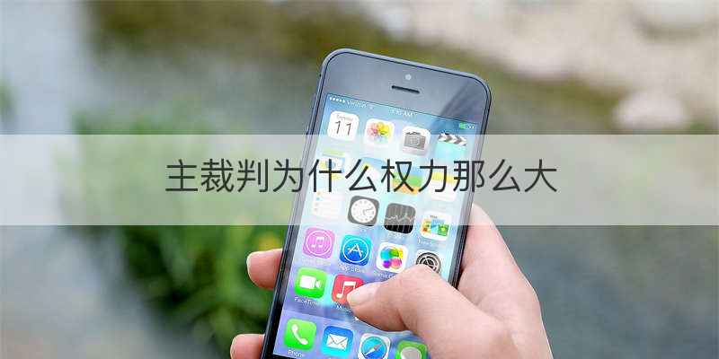 主裁判为什么权力那么大