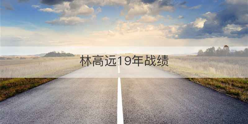 林高远19年战绩