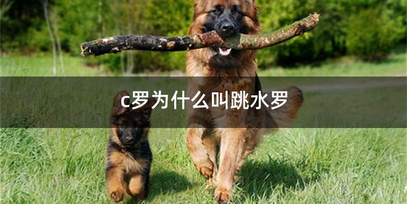 c罗为什么叫跳水罗