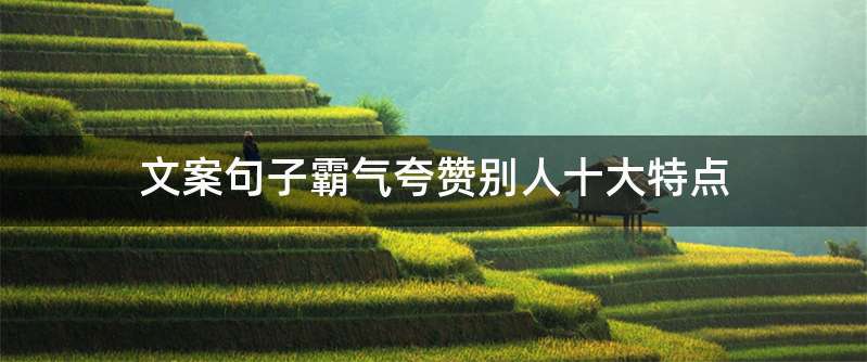 文案句子霸气夸赞别人十大特点