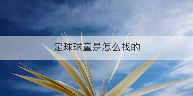 足球球童是怎么找的