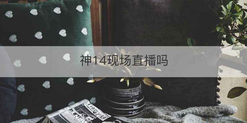 神14现场直播吗