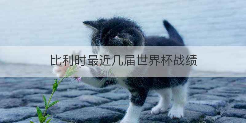 比利时最近几届世界杯战绩