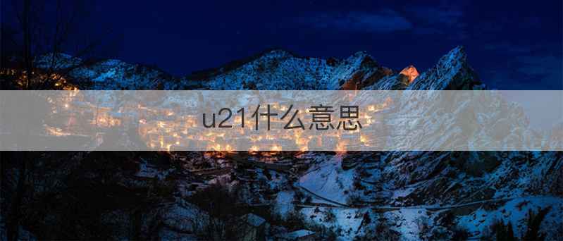 u21什么意思