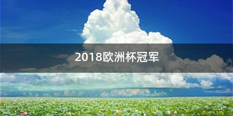 2018欧洲杯冠军