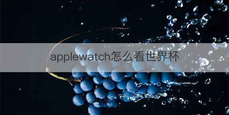 applewatch怎么看世界杯
