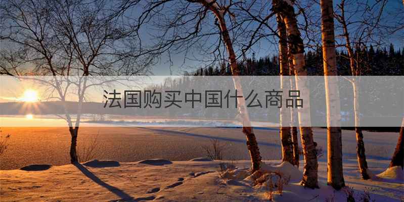 法国购买中国什么商品
