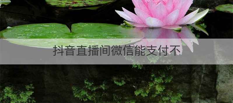 抖音直播间微信能支付不