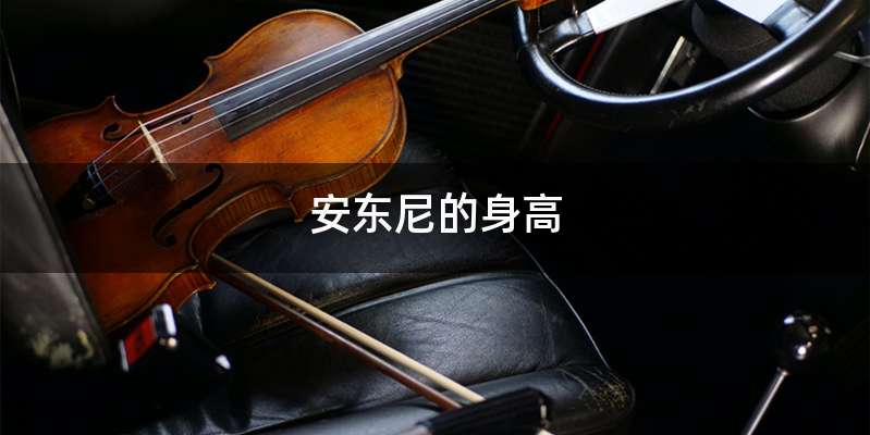 安东尼的身高