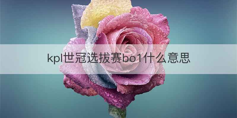 kpl世冠选拔赛bo1什么意思