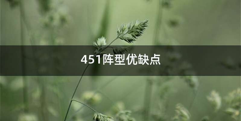 451阵型优缺点