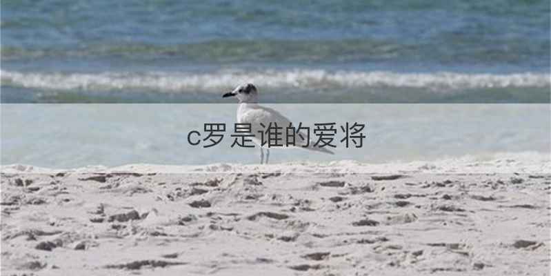 c罗是谁的爱将