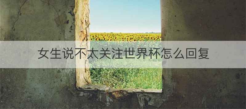 女生说不太关注世界杯怎么回复