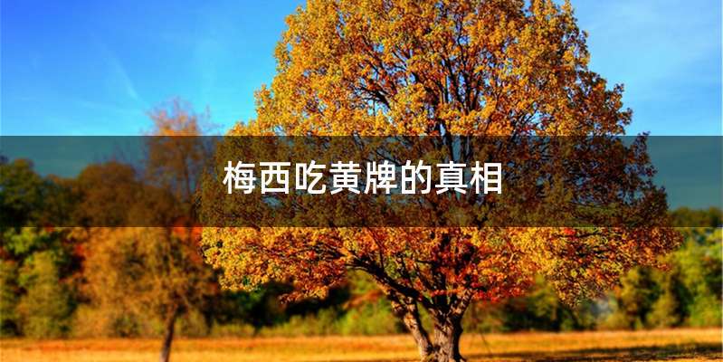 梅西吃黄牌的真相