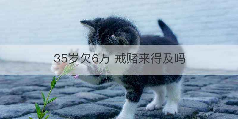 复赌三次会成功戒赌吗