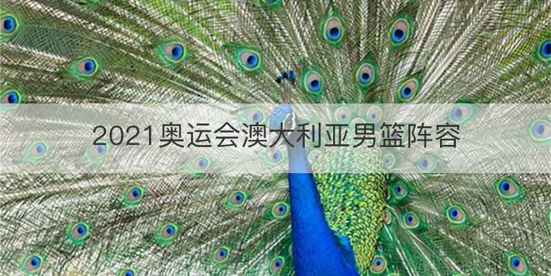 2021奥运会澳大利亚男篮阵容