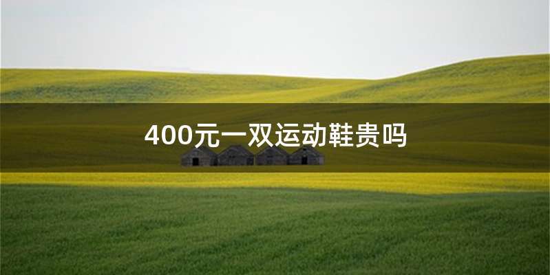 400元一双运动鞋贵吗