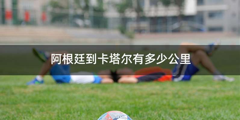 阿根廷到卡塔尔有多少公里