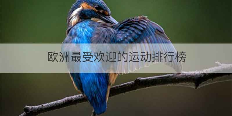 欧洲最受欢迎的运动排行榜