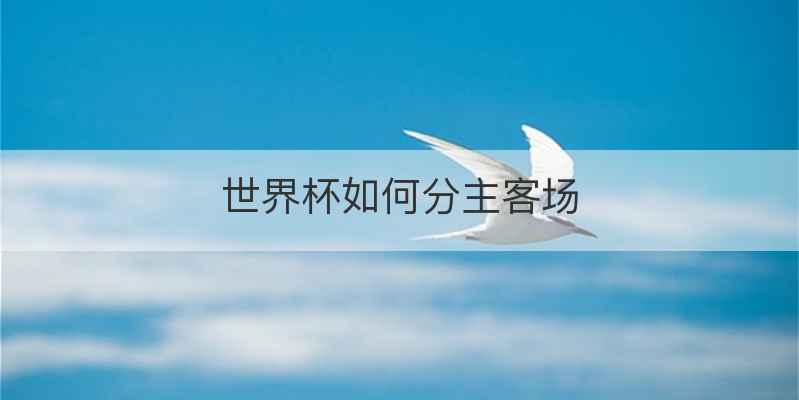 世界杯如何分主客场