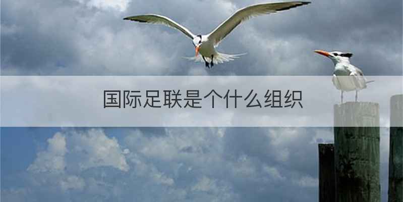 国际足联是个什么组织