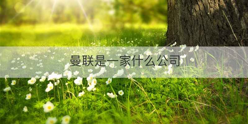 曼联是一家什么公司