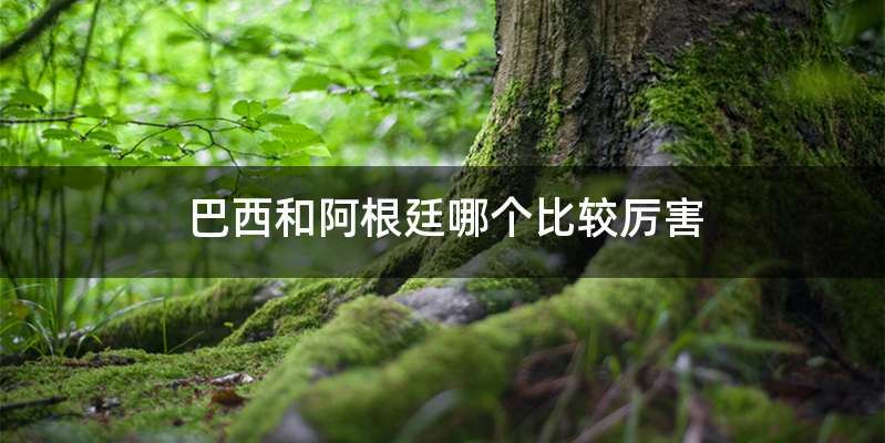 巴西和阿根廷哪个比较厉害